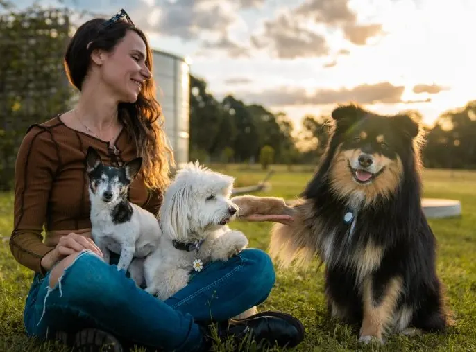 Mireya Gonzalez sitting in the grass at sunset with three dogs